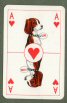 Full Images of playing cards will open in a new window to return to catalogue close window 