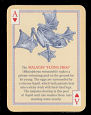 Full Images of playing cards will open in a new window to return to catalogue close window 
